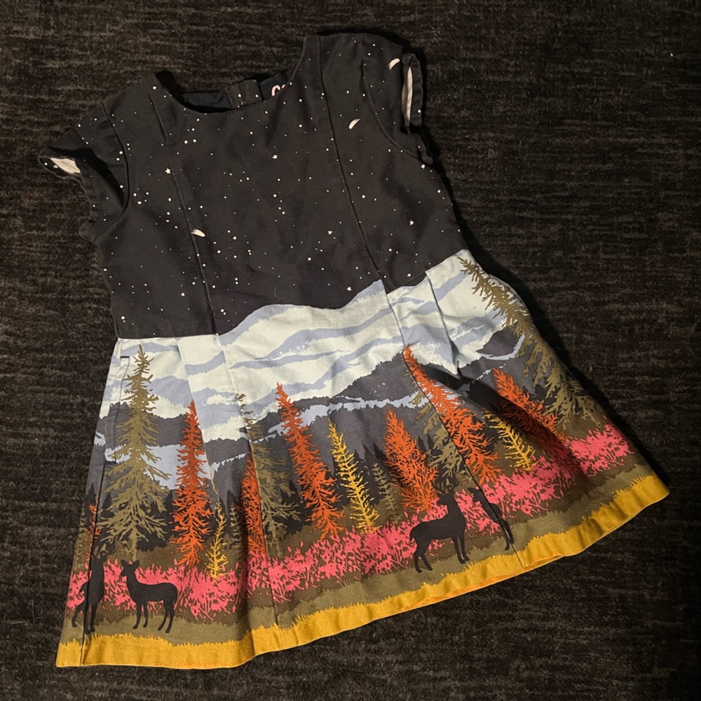 Oshkosh dress